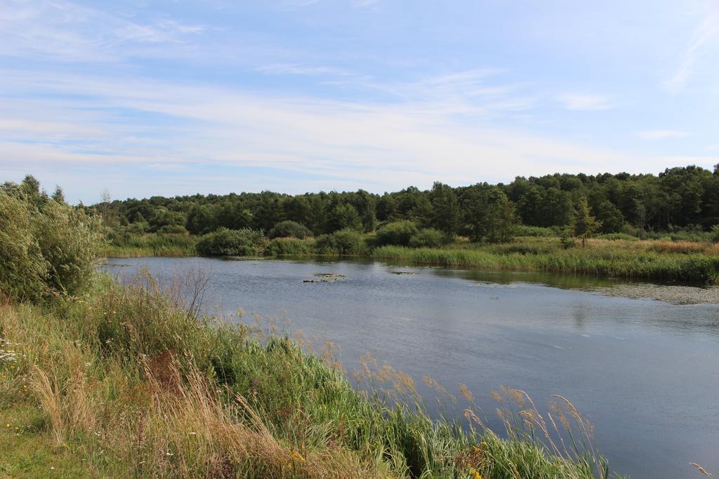 Kompleks Wypoczynkowy Petrico Park Karlino Zewnętrze zdjęcie